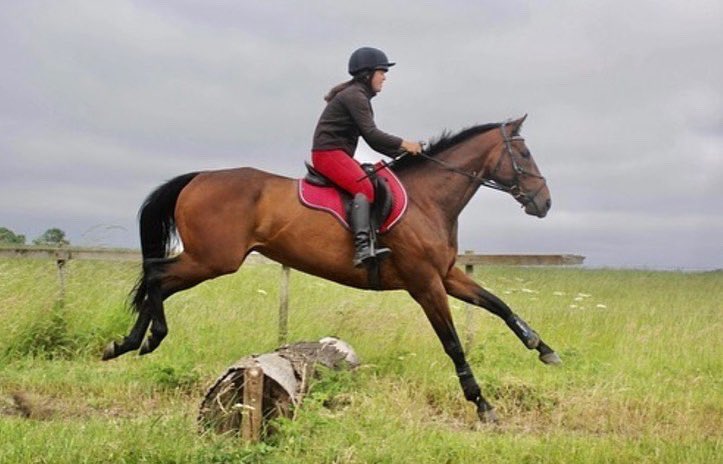 How it feels to fly, in pictures… 

Our Cherry 🍒 C180 Compression Leggings are giving us life right now during these cooler spring days! 

vivendiapparel.com #ponyhour #equineblogshare #equestrian #crosscountry