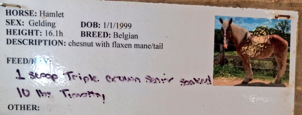 Aces ⚔️ Eights⚖️🇺🇸 tweet media