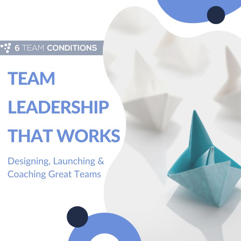 Team Leadership That Works: Program Launch Webinar! Thursday 18 April 12pm US EST - mailchi.mp/80f357c2c4c9/t…