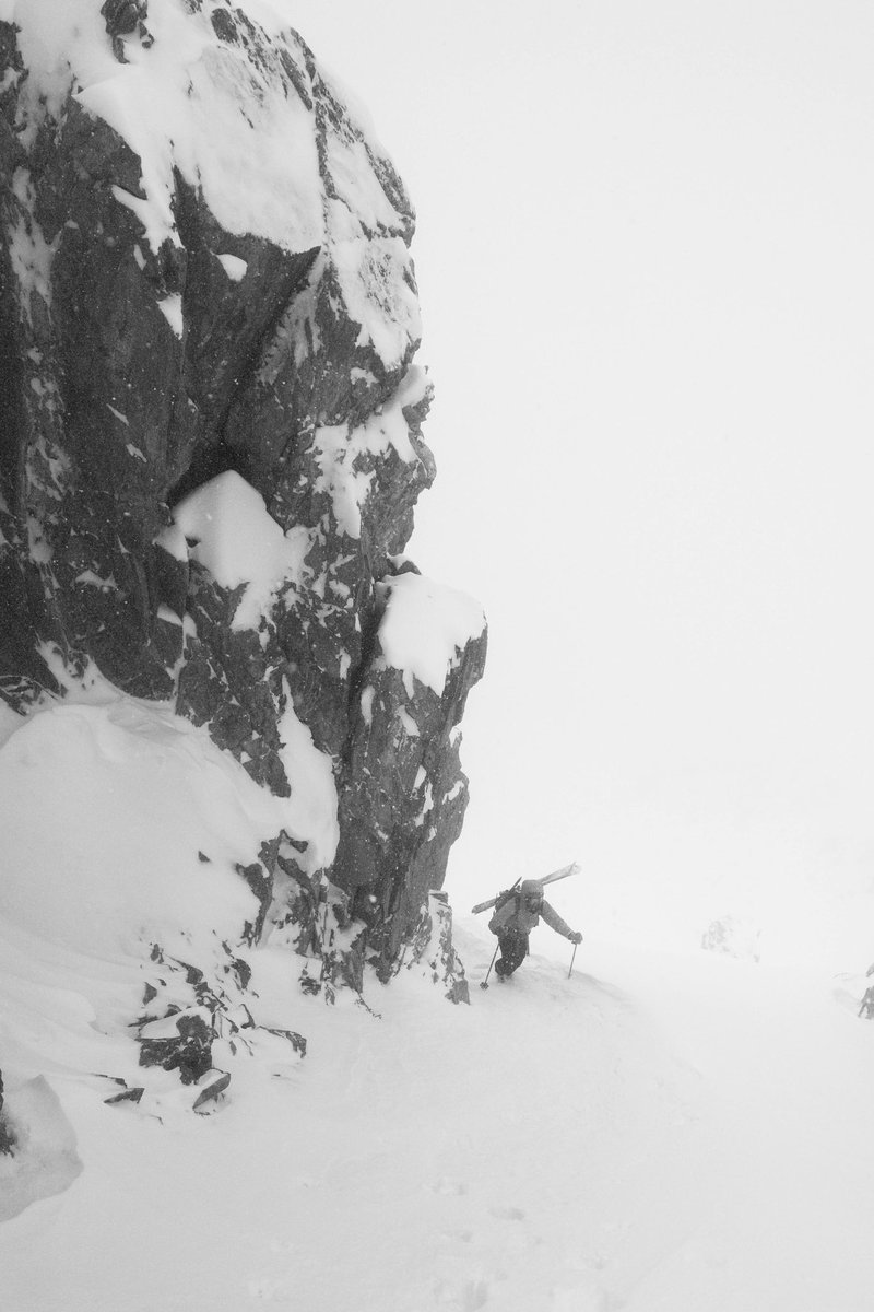 Jonah steinberg tweet media