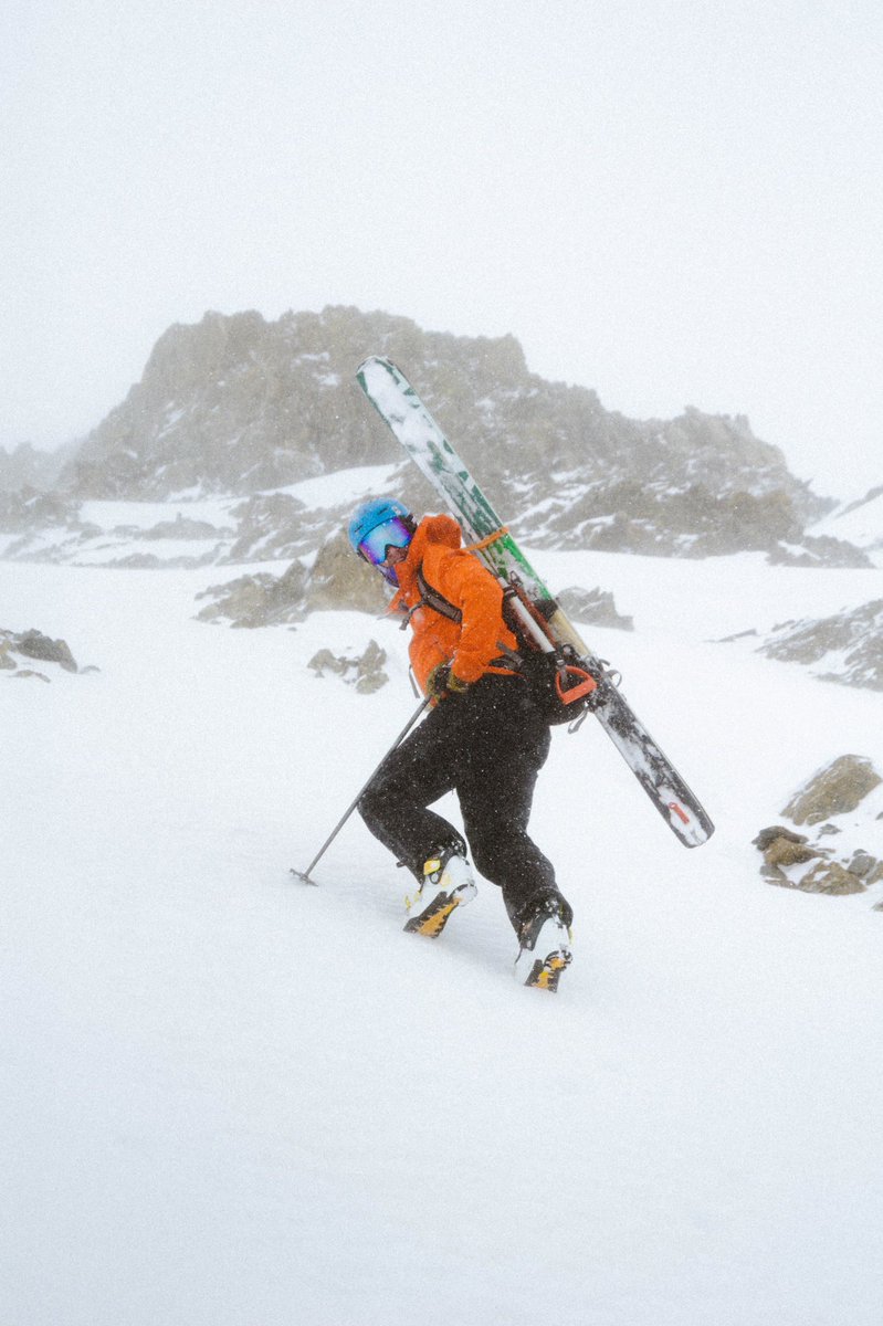 Jonah steinberg tweet media