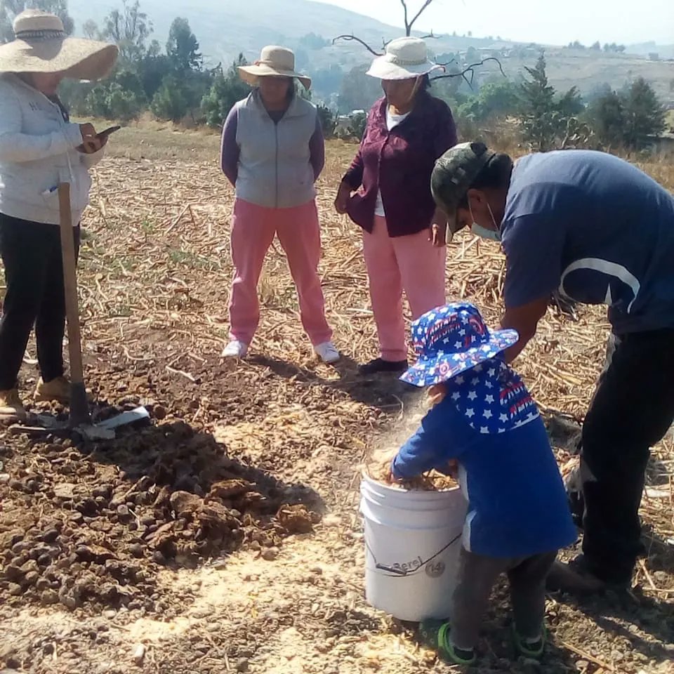 DIF_SanFelipe's tweet photo. 🌾🌱🌿Dentro del programa #HortaDIF estamos capacitando a pobladores de diferentes comunidades; de igual forma realizamos la instalación de sus huertos familiares generando una alternativa para la producción de alimentos en el hogar de manera sustentable.
#JuntosPorTuFamilia https://t.co/Tlr5q4QNES