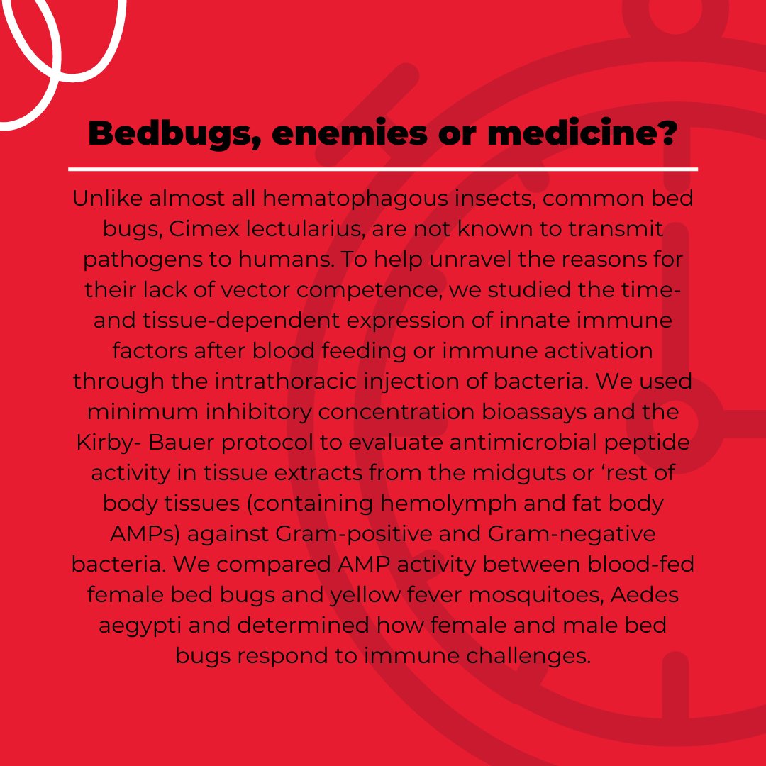 UWGradStudies's tweet photo. Next up in the #wr3mt line-up we have Sam Meraj. Sam is a PhD candidate in Biology from @SFU_GradStudies ! Sam will present her three-minute thesis,"Bedbugs, enemies or medicine?", at the Western Regional Three-Minute Thesis Competition on May 6.
๐https://t.co/PQS4rZTGtU https://t.co/OEUMpJdGL4