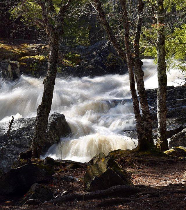 Visit_Keweenaw's tweet photo. "Once we have tasted far streams, touched the gold, found some limit beyond the waterfall, a season changes, and we come back changed but safe, quiet, grateful.”
– #WilliamStafford
📸 Maiden Mich
📍Silver River Falls | #Baraga, MI
#PureMichigan #Waterfalls https://t.co/qn85dunVg5