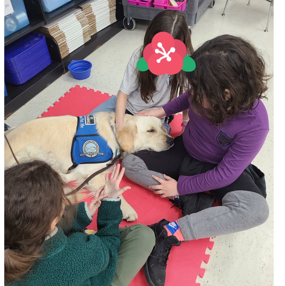 Keri Johnson tweet media