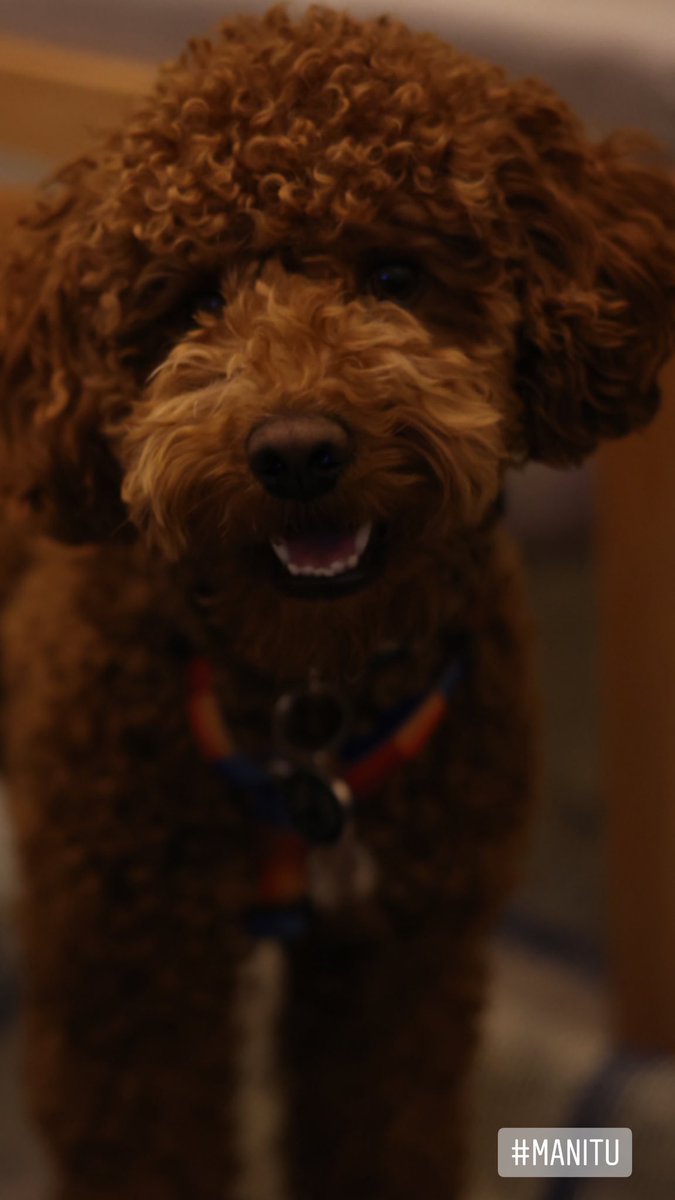 Meltem Gokhan (@meltemgokhan) on Twitter photo 