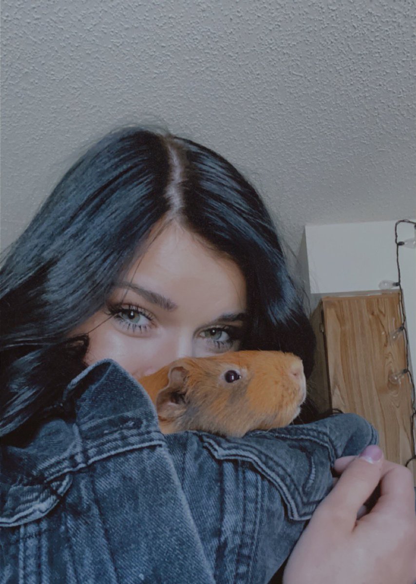 OnareckerMarie's tweet photo. I love getting to spend my lunch breaks with my piggy’s🥰

(Percy only likes it because he knows he gets a carrot🤣) https://t.co/GXjyDDqYIz