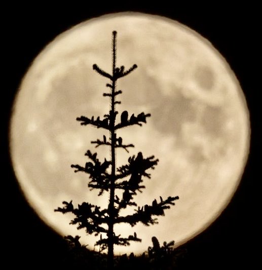 صوره. جميله  مشحونه طاقه ايجابيه وذبذبات  عاليه. تنفعكم  لوفرة المال . للزواج . للوظيفه . لتقوية العلاقات العاطفيه . للشفاء . للسكن الجديد . فك التعلق . زوال الطرف الثالث  . للنصر على اعدائك .لزيادة هرمون السعاده والافراح والمحبه  . نويت تجليها لكم بطاقة ريتويت +فلوو+لايك