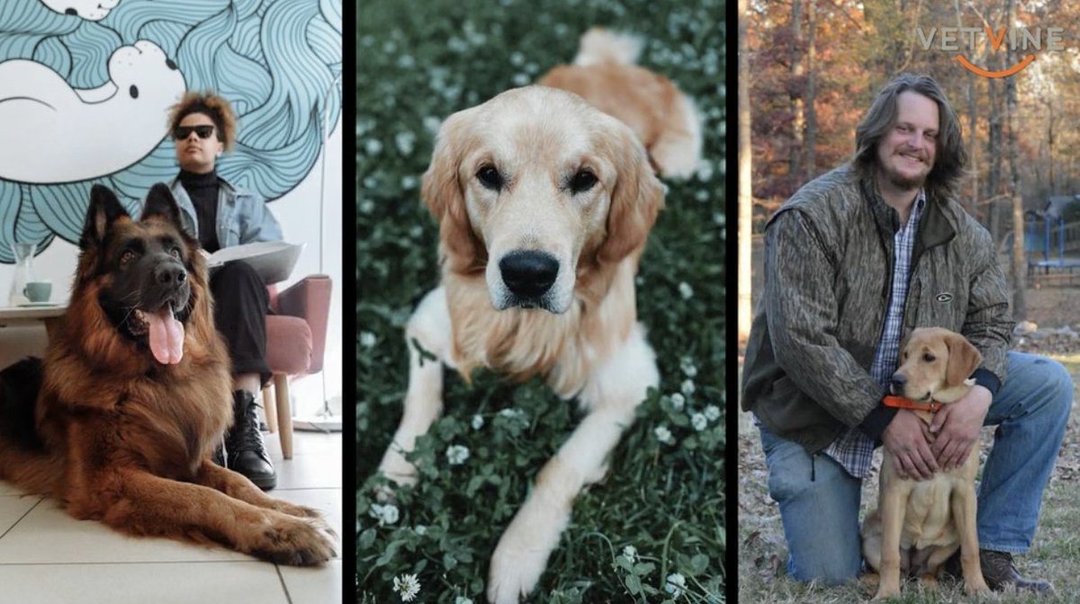 VetVine's tweet photo. Service dog handlers and their service dogs have a unique and profound relationship. Thus, the loss of a service dog is often a significant life event. Learn more about the impacts of service dog loss: https://t.co/Dj3i9Hd4nx  #GuideDogDay  #ServiceDog #InternationalGuideDogDay https://t.co/r7VwJwnaYx