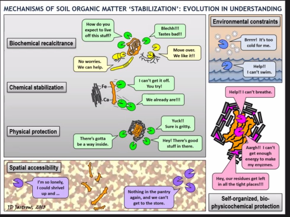 Great cartoon showing the different reasons microbes can't break down organic matter in the soil from Julie Jastrow