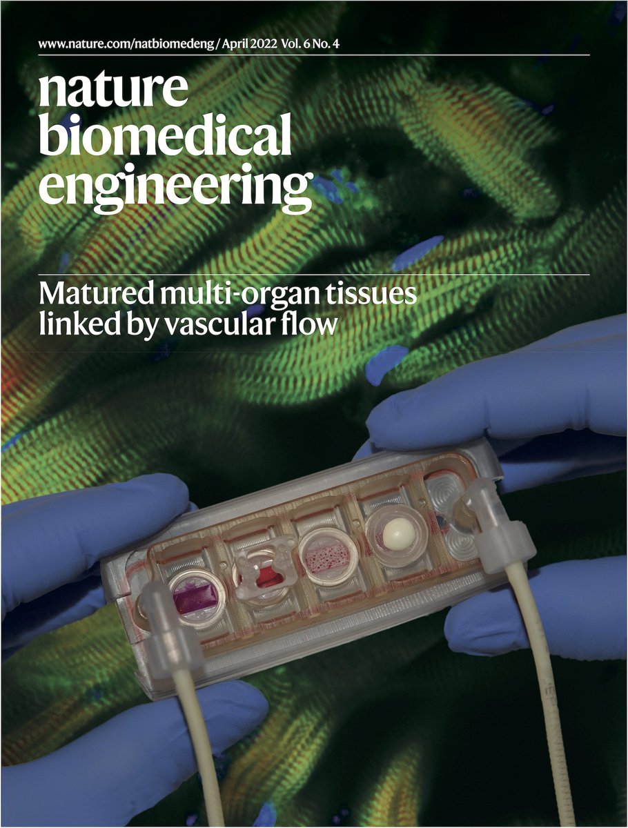 The April cover illustrates tissue chips with matured human heart, liver, bone and skin tissue niches linked by recirculating vascular flow.

go.nature.com/3vksxGy
rdcu.be/cMe8k [Paper]