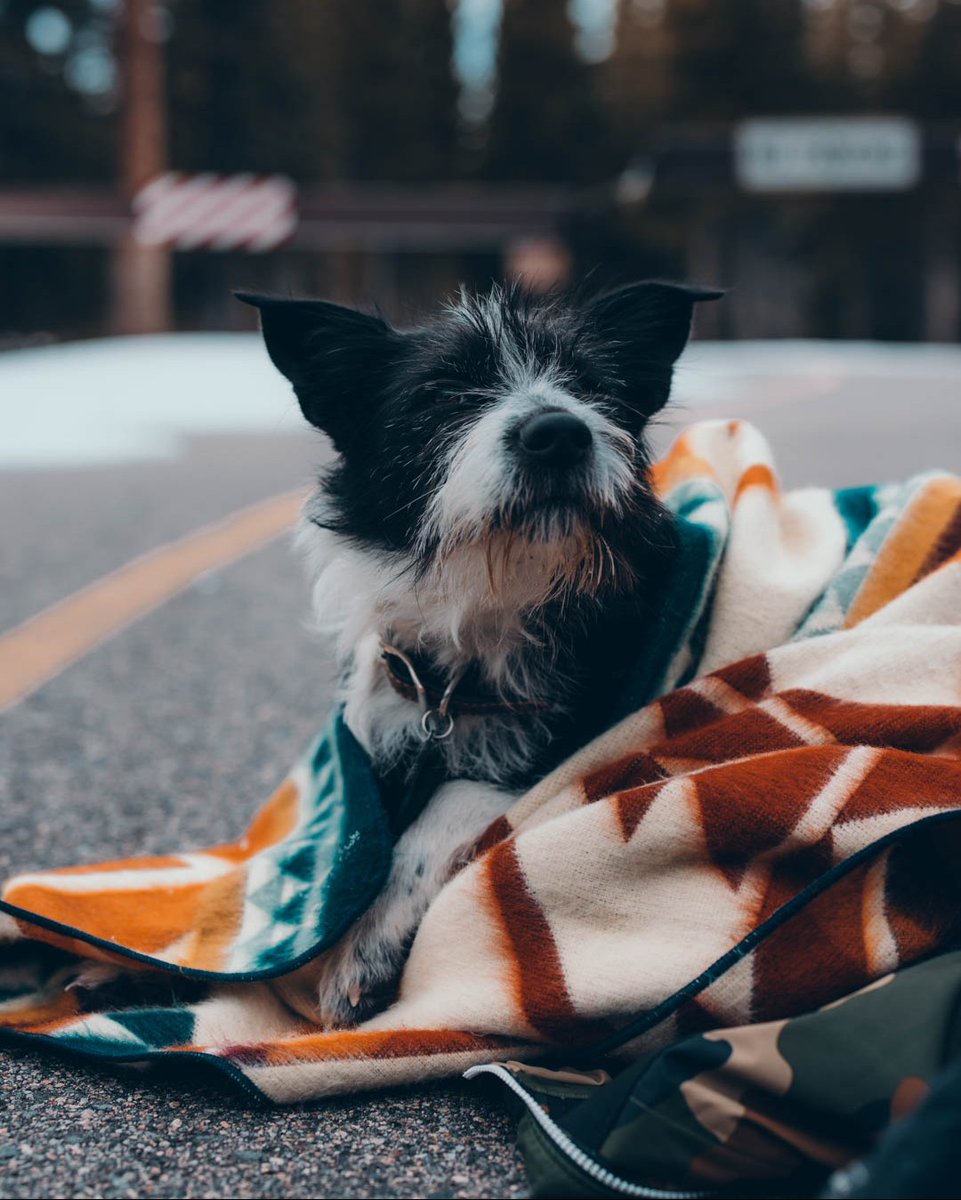 Heartprint Threads tweet media