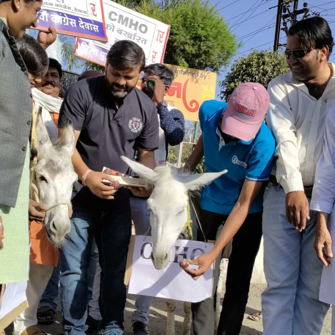 JitendraSGIYC's tweet photo. यूथ कांग्रेस जिलाध्यक्ष जितेंद्रसिंह गौड़ के नेतृत्व में सीएमएचओ को हटाने की मांग करते हुए कार्यकर्ताओं ने एक गधे को सीएमएचओ की तख्ती पहनाई और उसे गुलाब जामुन खिलाए। गौड़ ने कहा कि कुछ दिन पहले तीन दिन की नवजात बच्ची चोरी हो गई थी। इसमें अस्पताल प्रशासन की लापरवाही सामने आई थी ।। https://t.co/yxVgWkLdbL