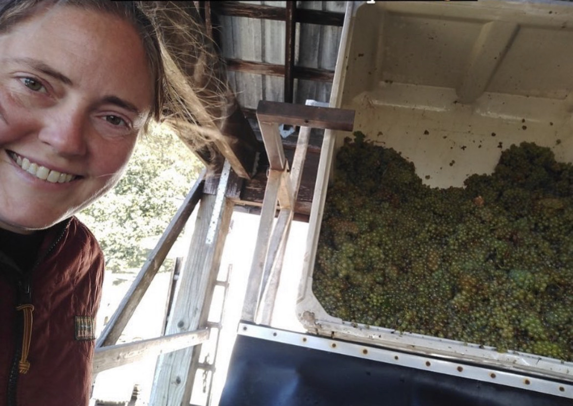 Swick_Wines's tweet photo. Swick Staff Selects! - https://t.co/BeuItRV5Rk https://t.co/LTuL3g4sI7
