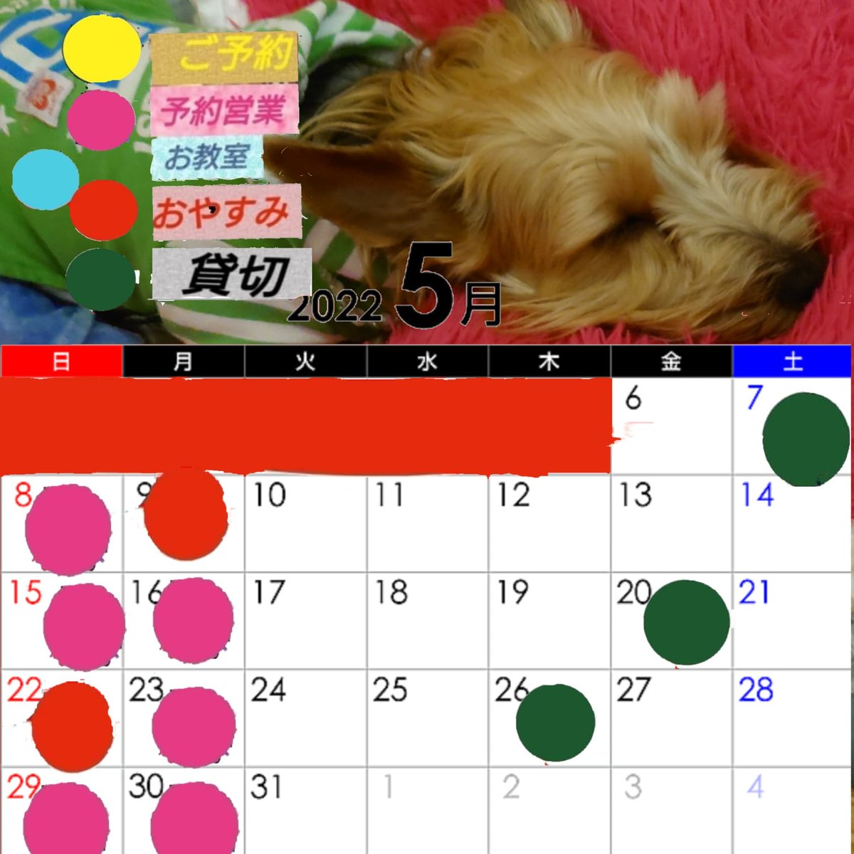 Peoplechan2's tweet photo. 5月のご予約も徐々に伺っております

貸切でなくてもお席の確保の分だけでもお声かけ頂ける方もい���っしゃいます

楽しいお時間のためにぜひご予約オススメです https://t.co/kRdc3DhdVZ
