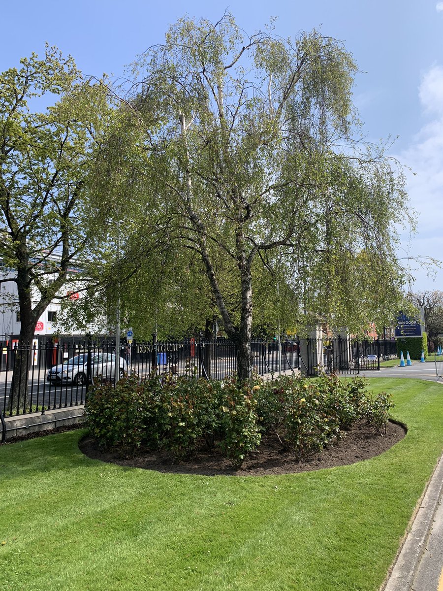 Another busy day at the RDS. 268 plants put in the ground and many more to come. 113 days until the start of the Dublin Horse Show. <a href="/richdoyle69/">Richard Doyle</a> <a href="/TheRDS/">The RDS</a>