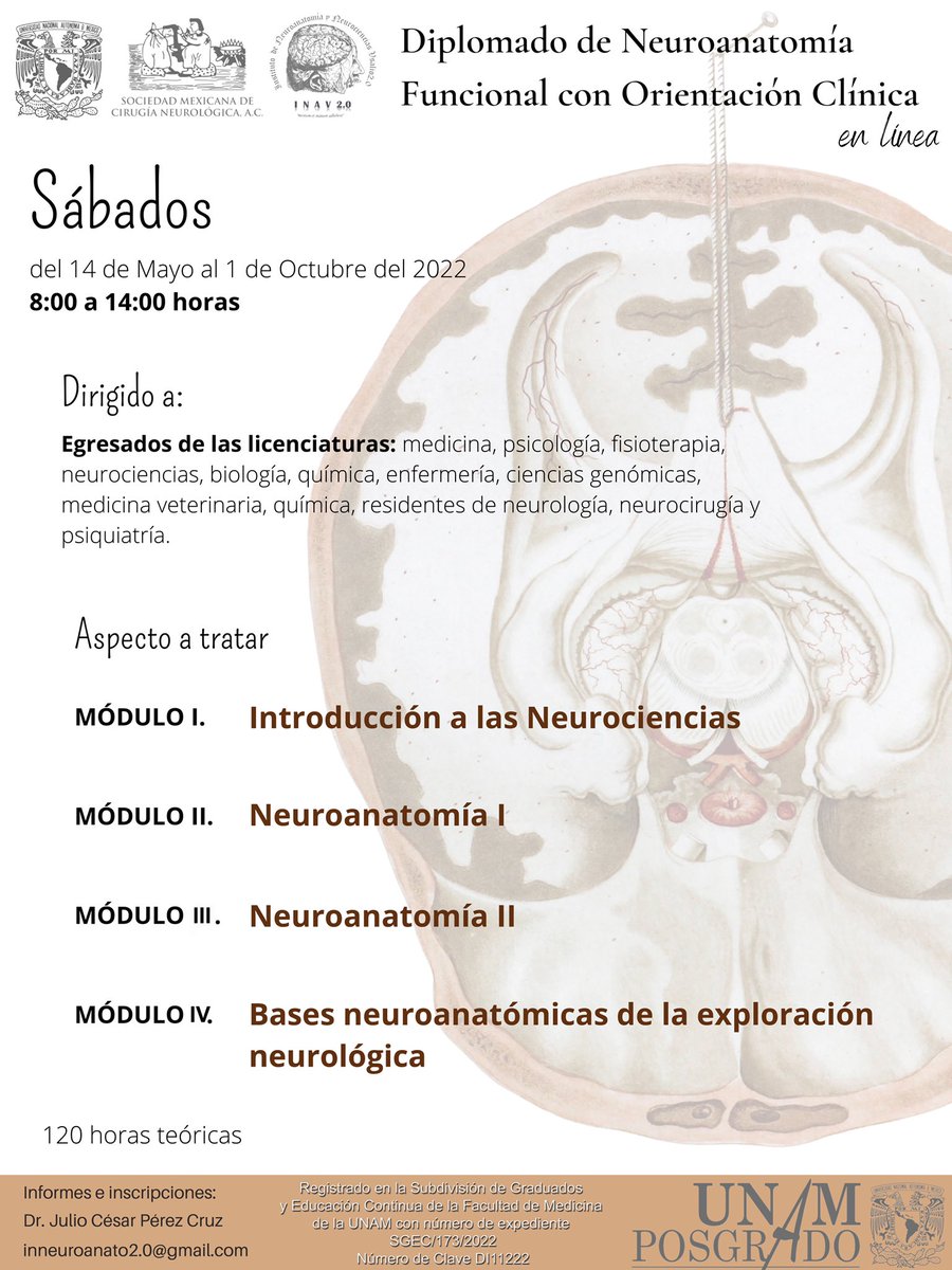 Cuneatos's tweet photo. Diplomado de Neuroanatomía Funcional con Orientación Clínica en Línea, Aval universitario Subdivisión de Graduados y Educación Continúa de la División de posgrado FM UNAM. No de Exp: SGEC/173/2022,  aval académico @smcn_mx Créditos curriculares 15. Hrs: 120. Inicio: 14 de Mayo https://t.co/T1NOxaXQf7