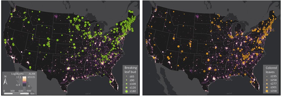 Yuyu Zhou (@zhou_hku) on Twitter photo What effects can nighttime lights have on urban plant phenology? Check out our <a href="/PNASNexus/">PNAS Nexus</a> paper: Artificial light at night: an under-appreciated effect on phenology of deciduous woody plants doi.org/10.1093/pnasne…
#ALAN #LightPollution #phenology #ClimateChange #SustainableCity What effects can nighttime lights have on urban plant phenology? Check out our <a href="/PNASNexus/">PNAS Nexus</a> paper: Artificial light at night: an under-appreciated effect on phenology of deciduous woody plants doi.org/10.1093/pnasne…
#ALAN #LightPollution #phenology #ClimateChange #SustainableCity