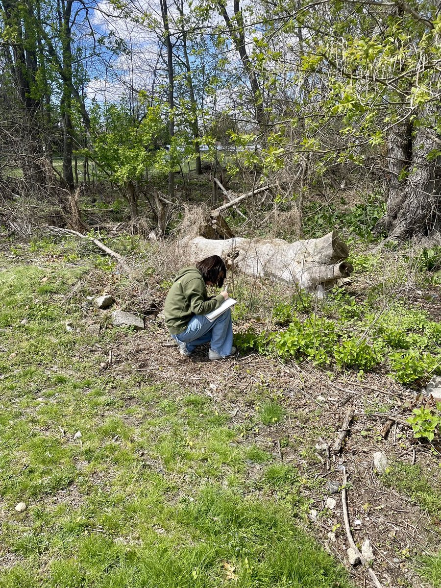 mrs_vindigni's tweet photo. Naturalists at work! Students got outside to create a field journal about a living organism, like Charles Darwin! 🌳🌿#exploring @WestBrook_Param https://t.co/02BUVfLDr4