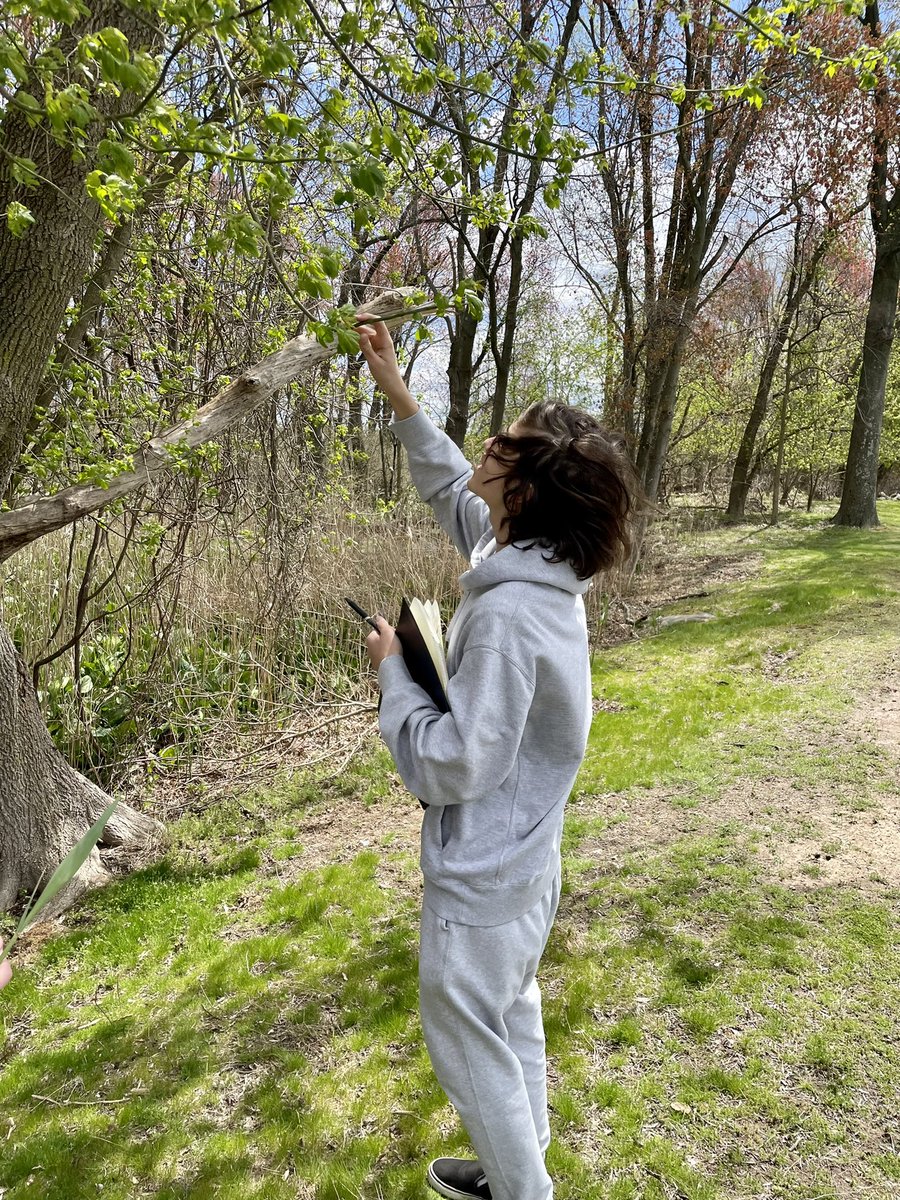 mrs_vindigni's tweet photo. Naturalists at work! Students got outside to create a field journal about a living organism, like Charles Darwin! 🌳🌿#exploring @WestBrook_Param https://t.co/02BUVfLDr4