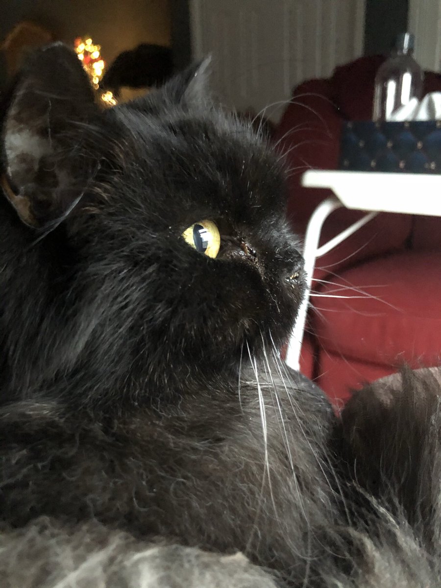 rolenep's tweet photo. @jannarden They take a little piece of our hearts with them when they go. I felt the deepest, darkest, most shattering grief when my boy died. My heart broke because it was so full of love for him. Huge hugs to you xx https://t.co/wwpaHuyVeM