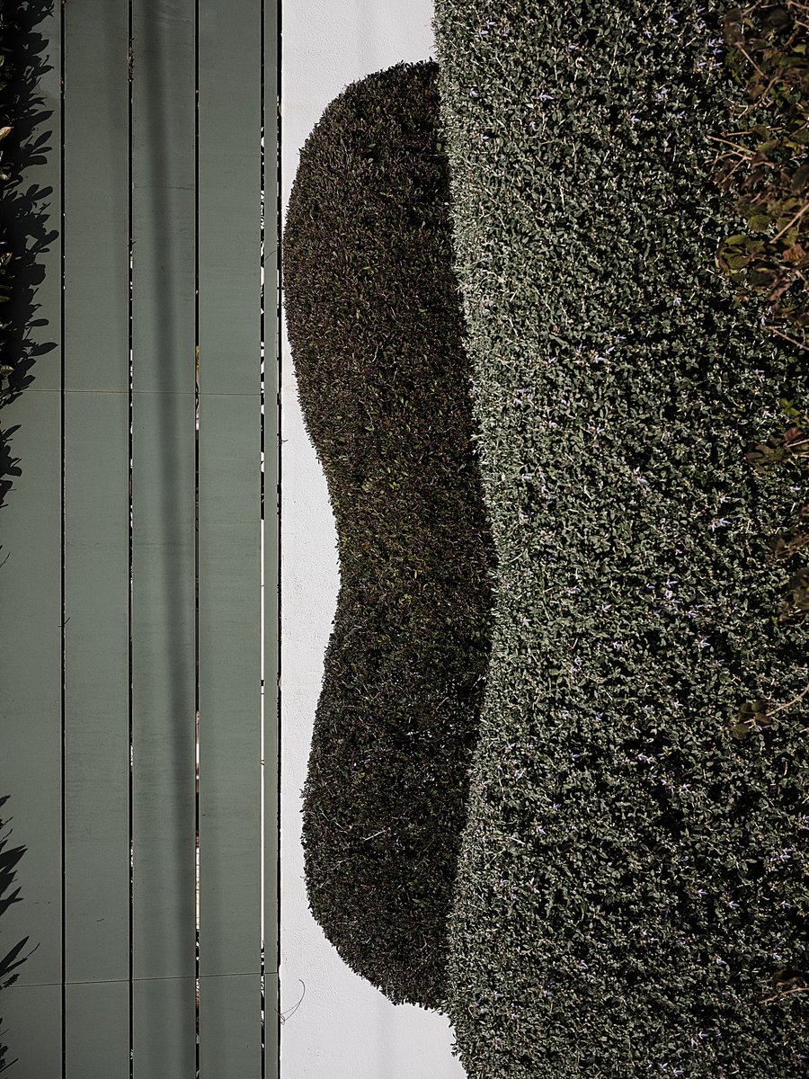 Pinkrnell tweet media