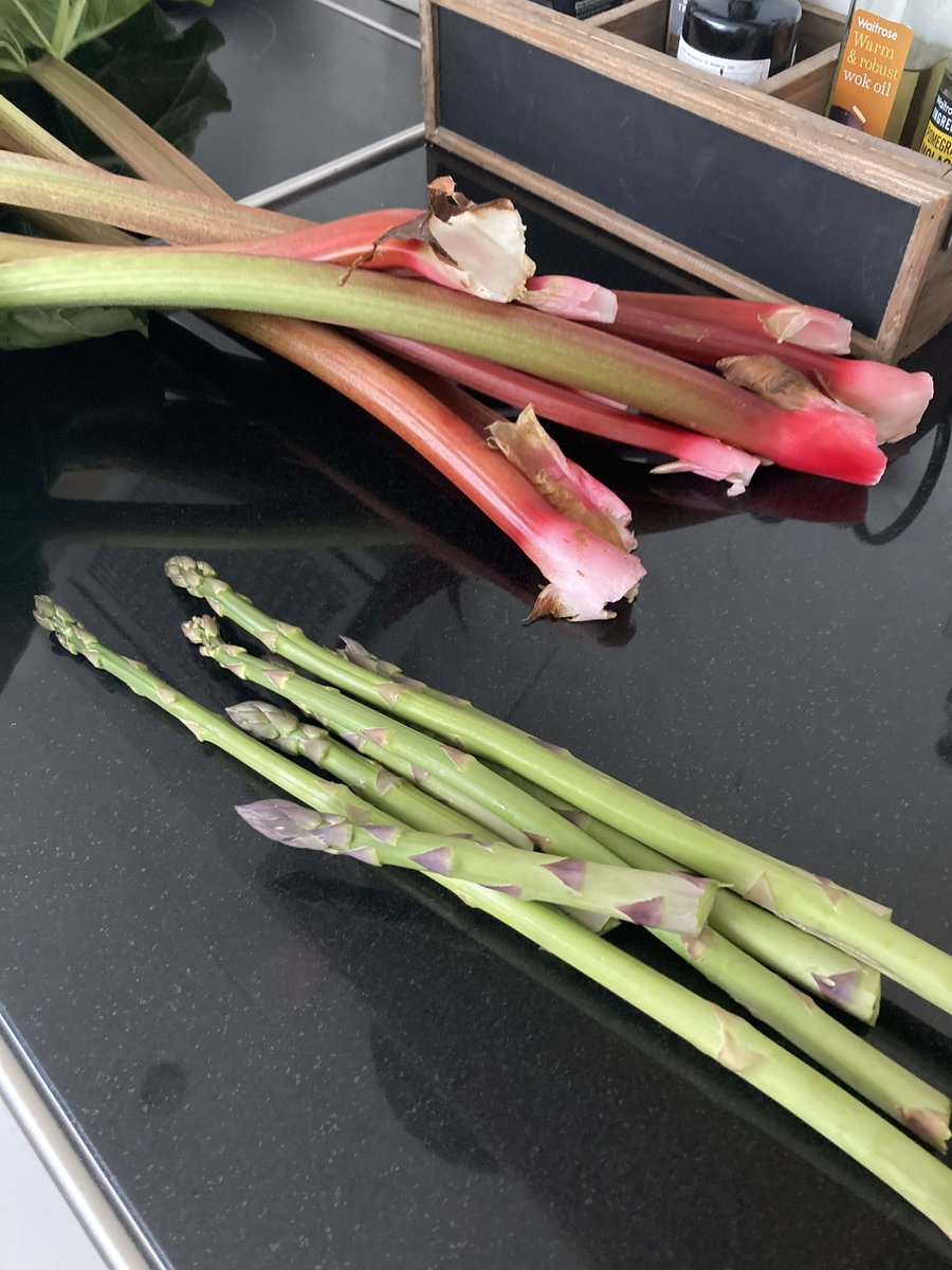 The harvest made me happy tonight, so beautiful (undamaged by usual pests) - I didn’t want to chop it up, outcome divine, asparagus soup &amp; chargrilled spears on top, and shocking pink rhubarb &amp; ginger crumble. All grown from seed, #gardening #winning #local #seasonal