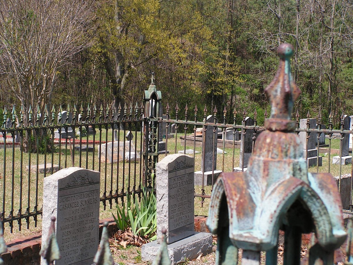 Southern Museum tweet media