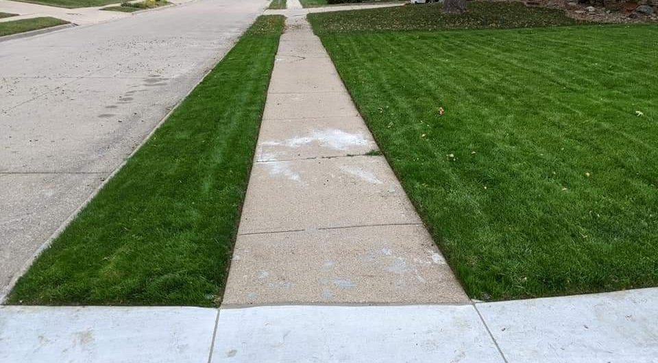 Dethatching is done. Time to bag it all up and cut the grass short.

I usually mow the second longest setting except in the spring when I'm reseeding.

I'll pick the weeds. I don't use killers. (thick healthy lawns don't have many weeds at all)

Included some pics of my old lawn