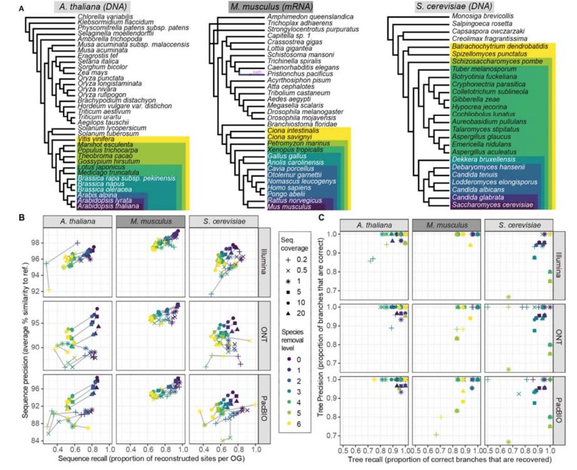 strnr's tweet photo. Read2Tree: scalable and accurate phylogenetic trees from raw reads https://t.co/hxLripa2gk https://t.co/chz6ahBCXd https://t.co/5UhxiycC7R