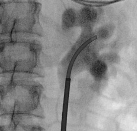 Roger Sur tweet media