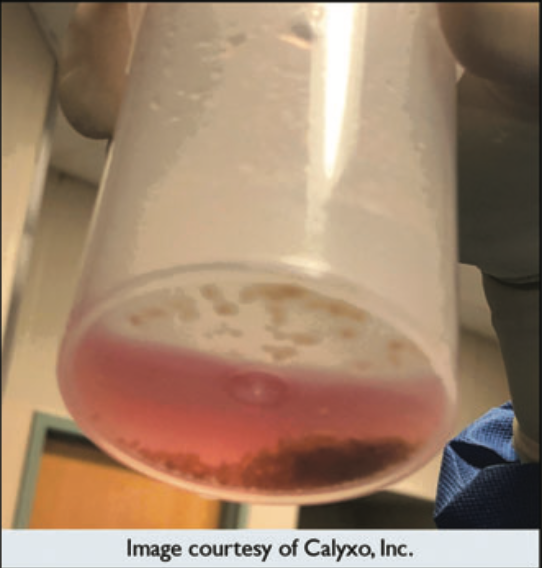 Roger Sur tweet media