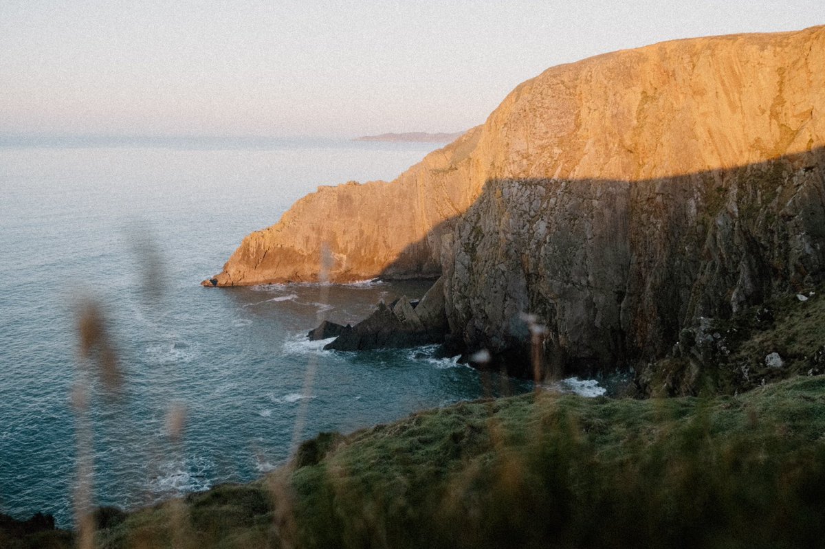 Tom Anders tweet media