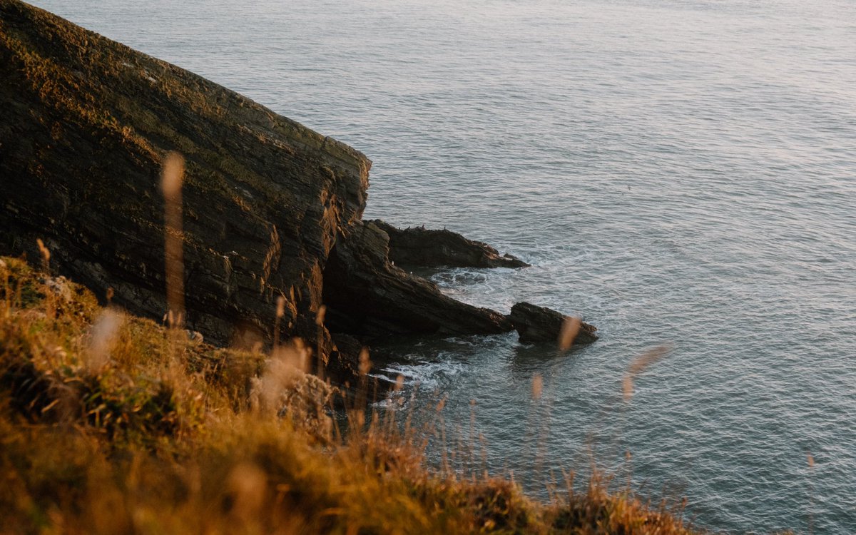 Tom Anders tweet media