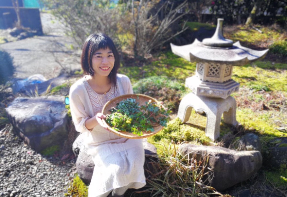 4/28.木 おはようございます✨✨
ラジオ「色いろ知りたい！あなたのお仕事」は14：00～生放送
「源点回帰」や「野草講座」を行っている。里山サロンmwangaムワンガ
代表  吉田 弓華  氏
 #FMぎのわん  #野草  #源点回帰  #イラストレーター  #ラジオ