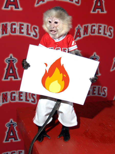 RealRallyMonkey's tweet photo. @AngelsWin https://t.co/BsqJF9jJse