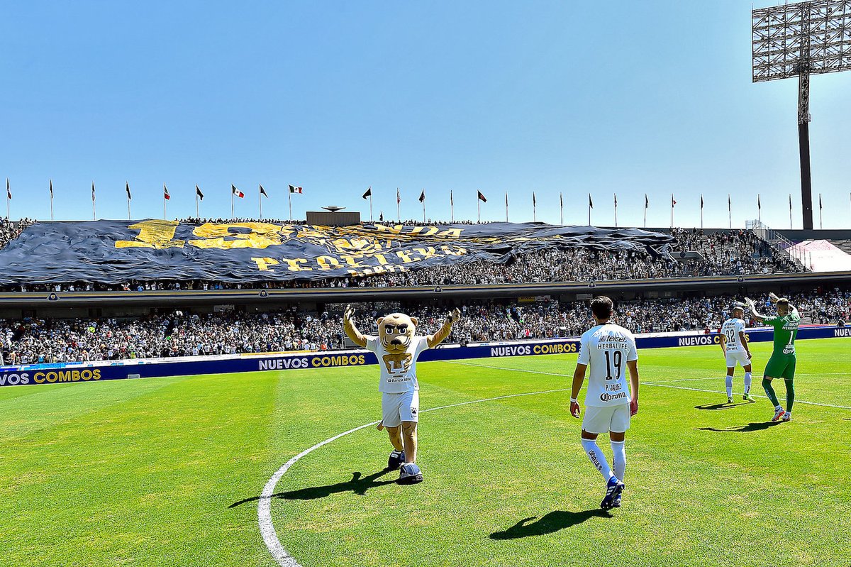 Hoy los <a href="/PumasMX/">PUMAS</a> juegan una final en CU y me acordé de esto que escribí en <a href="/Hojasantamag/">Revista HojaSanta</a>: "ver cómo sale La Rebel junto con un montón de aficionados, como él y como yo, portando banderas y playeras de los Pumas, festejando esa victoria..." 💛

revistahojasanta.com/tentempie/2019…