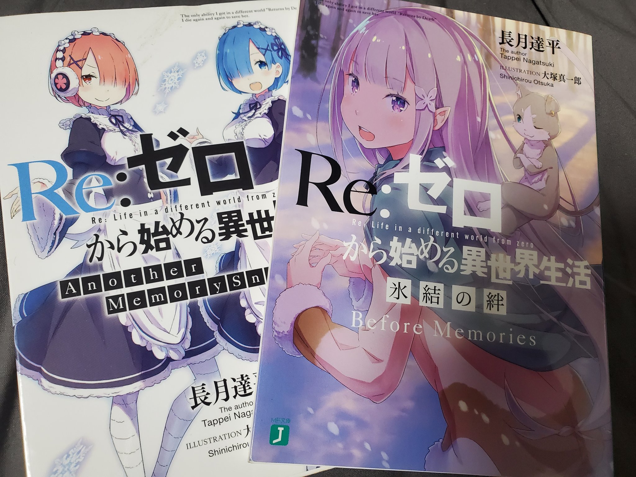 Re:ZERO -Starting Life in Another World-, Vol. 11 (light novel) (Re:ZERO  -Starting Life in Another World-, 11)