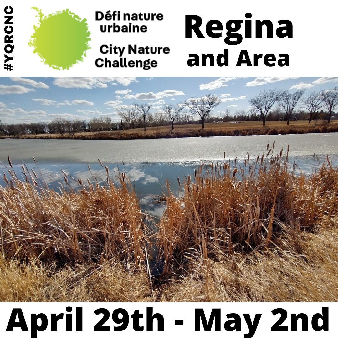 U of R BUGS tweet media