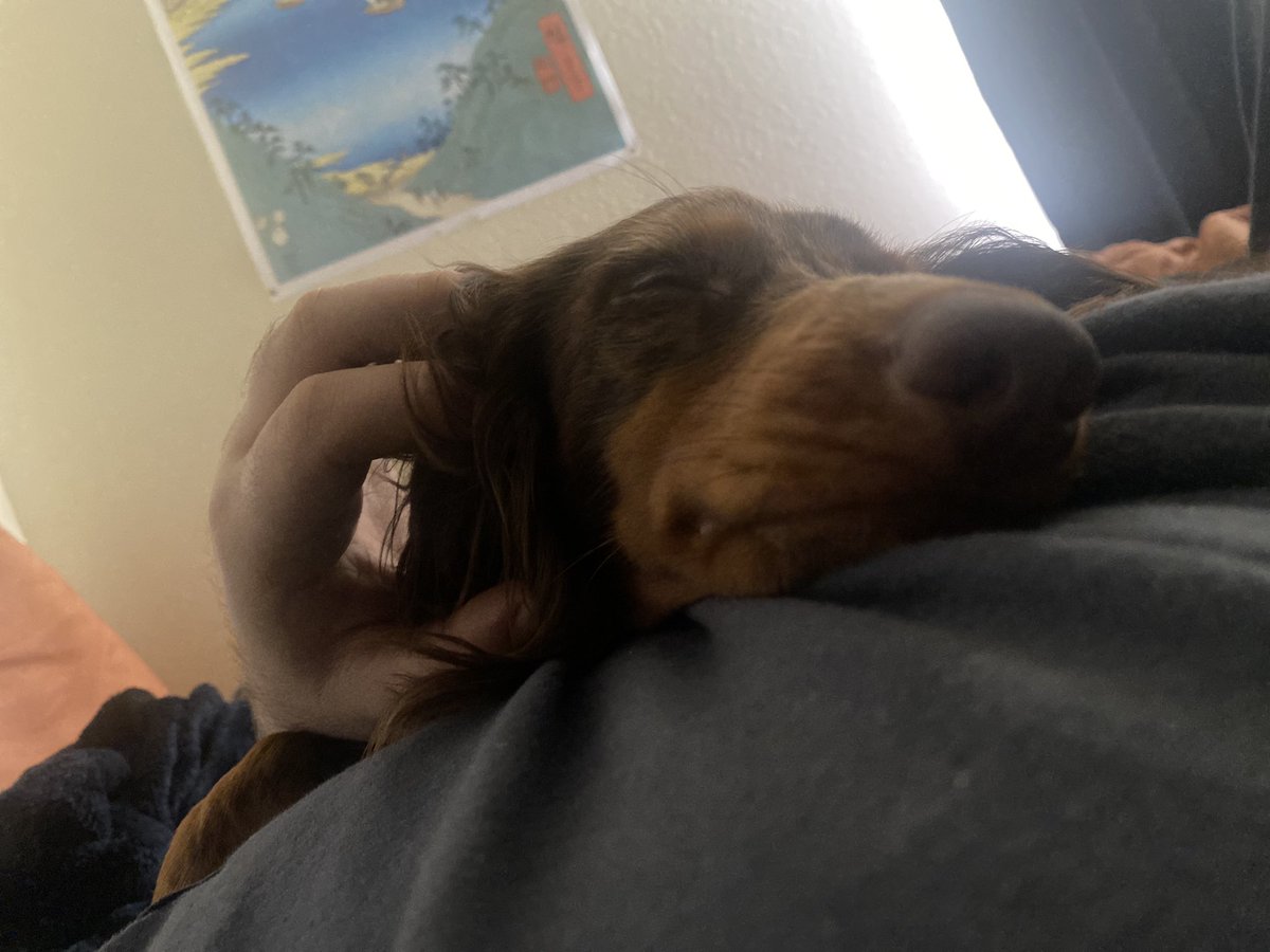 AaronBuckley_'s tweet photo. Such a sleepy little dude ❤️🧦 https://t.co/0ePtiBMaGw