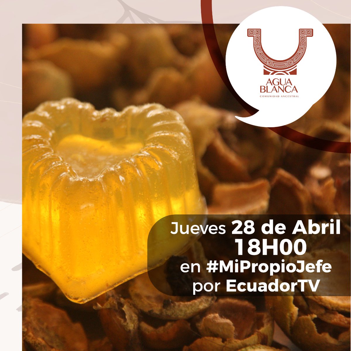 ciespal's tweet photo. En el marco del trabajo que realiza @PPDEcuador - @greencrowds y en el que apoya #CIESPAL y @CODESPA, los invitamos a conocer más sobre el 🚿🧴Shampo Natural Barbasco de la Comuna Agua Blanca.

📌 28 abr. ⌚18h00 @EcuadorTV #MiPropioJefe

Contacto📲 Fabricio Martínez 0992226825 https://t.co/oL7YPHqovU