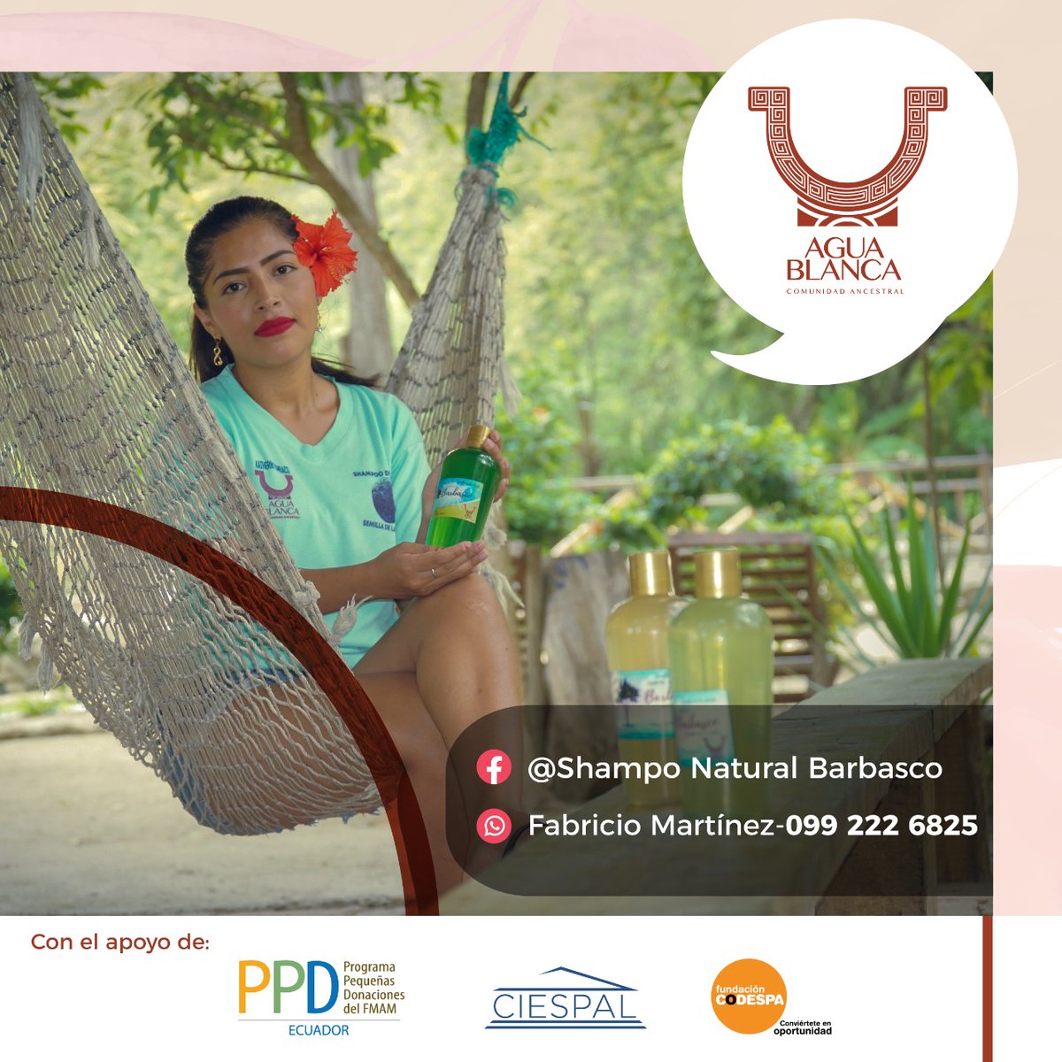 ciespal's tweet photo. En el marco del trabajo que realiza @PPDEcuador - @greencrowds y en el que apoya #CIESPAL y @CODESPA, los invitamos a conocer más sobre el 🚿🧴Shampo Natural Barbasco de la Comuna Agua Blanca.

📌 28 abr. ⌚18h00 @EcuadorTV #MiPropioJefe

Contacto📲 Fabricio Martínez 0992226825 https://t.co/oL7YPHqovU