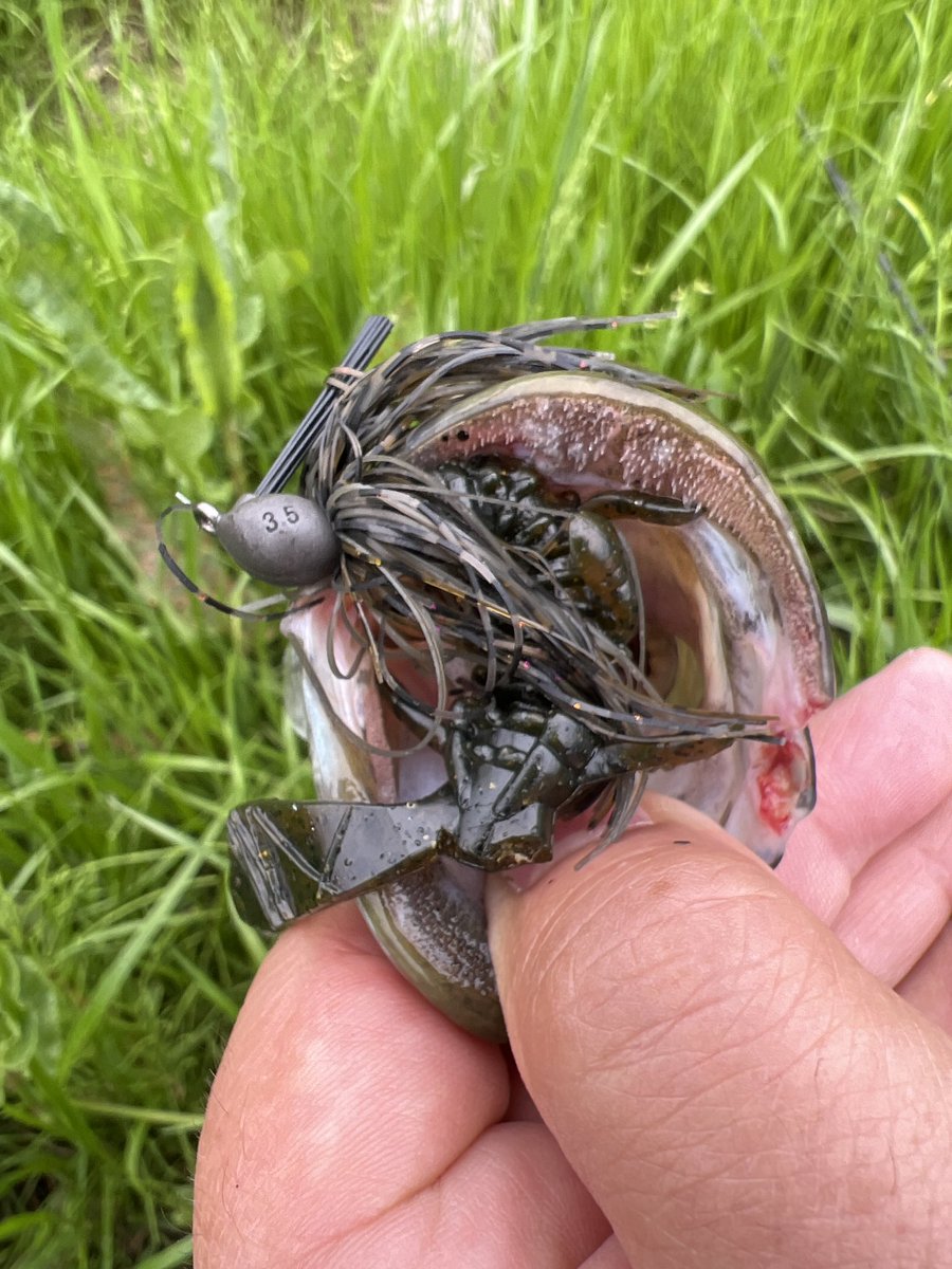 AKチャンク3.4+GAPジグ
あっさり小バスGet→片手失う。
面倒くせえ片手でいいや→即推定35😓😓😓…🤪

なんだよ…