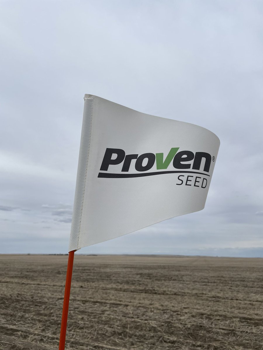 SunnyBoy7810's tweet photo. Planting a CDC Flare CL plot today! Could use some moisture. Looking forward to seeing this variety grow! @NutrienAg_SAB @Flad02 @ProvenSeed #westcdnag https://t.co/u6NoFkrCCU