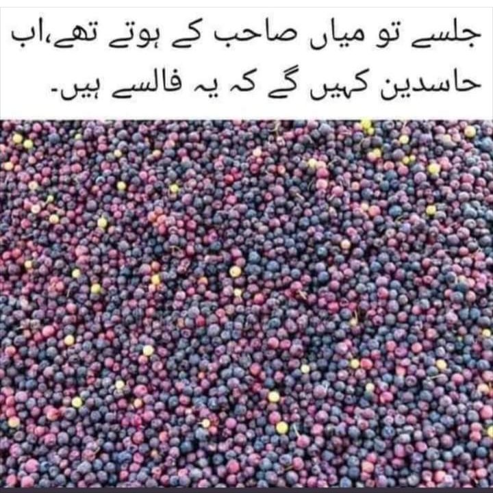 FaiqaFood's tweet photo. #MarchAgainstImportedGovt https://t.co/u0YK9SNcsS