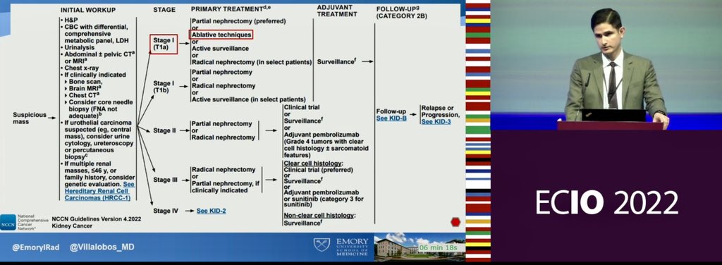 Thank you @EmoryRadiology and <a href="/EmoryIRad/">Emory University Interventional Radiology</a> for providing the opportunity to attend and present at the  <a href="/ECIOcongress/">ECIO</a> in Vienna! 

What an amazing conference, group of people, and exciting future of #IO! 

#SoMuchToLearn #Avanzando #JetLagged

<a href="/NimaKokabiMD/">Nima Kokabi MD</a> <a href="/DrFLoya/">Mohammed Faisal Loya, M.D.</a> @billmajdalany