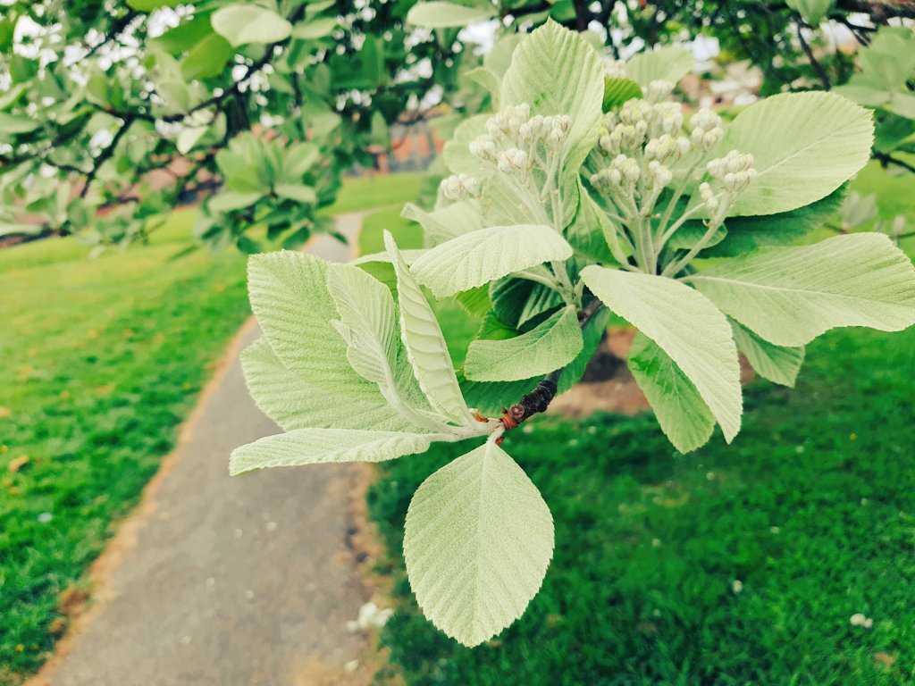 #NatureBeauty #naturelovers #NaturePhotography #nature #2022goals #Frenchvibes #medidation #Motivation #inspiration #Peace #love 💙💛🦋💚💜❤💋👄🧡