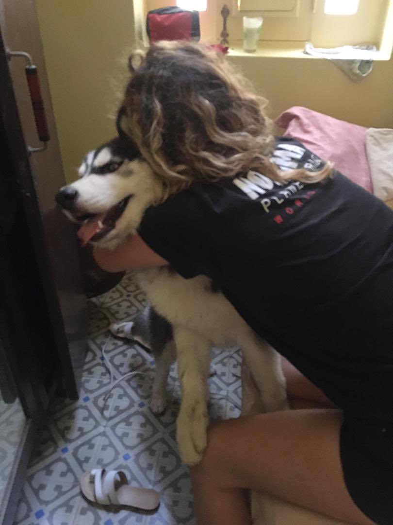 Colonia Aldama tweet media