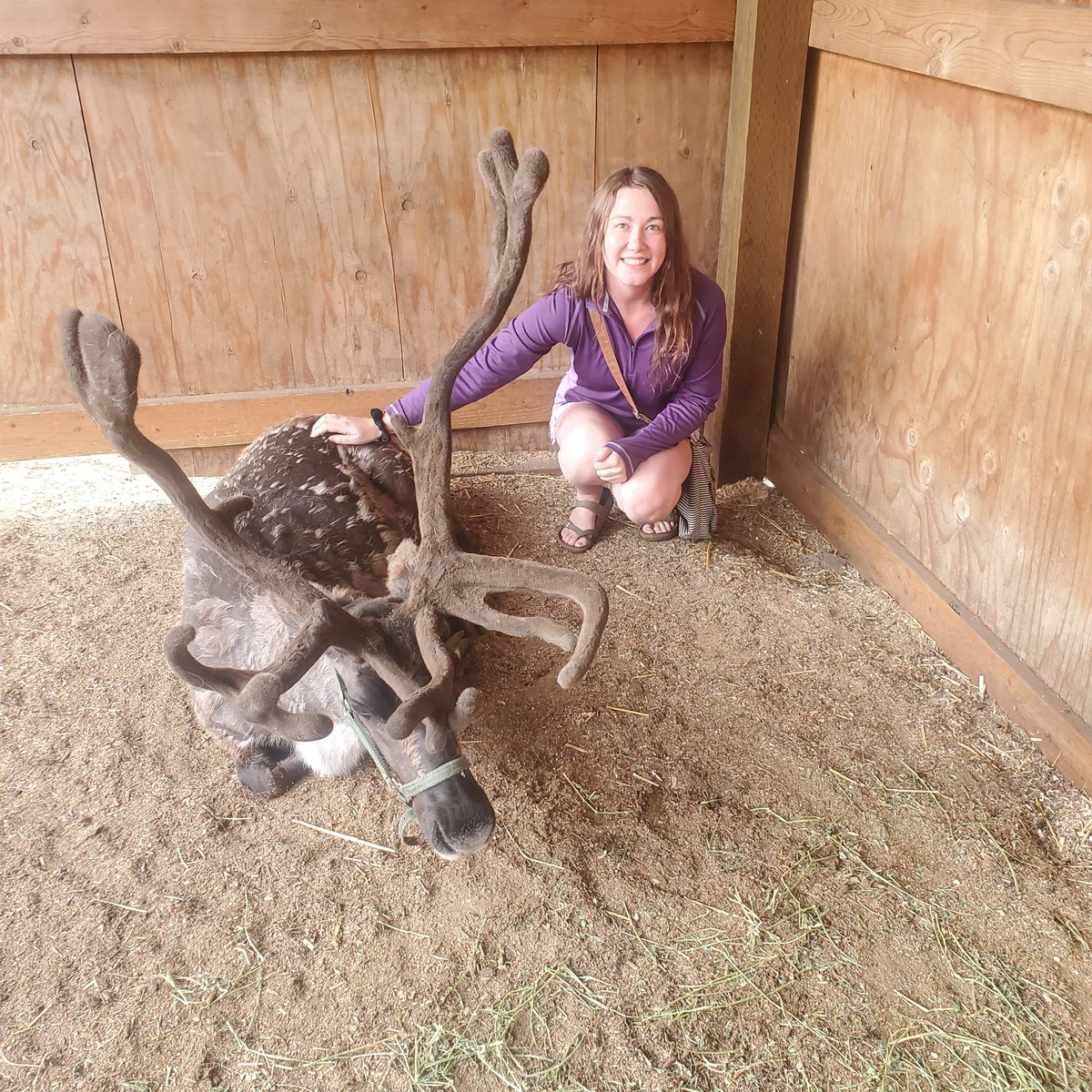 SnoopKatt_'s tweet photo. #NewProfilePic
Just me and a cute ass reindeer. 🦌 https://t.co/C9RYSM3OKZ