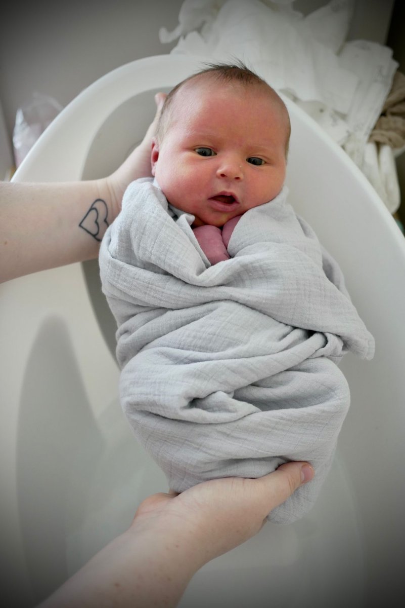Sensory Beginnings tweet media